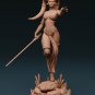 Star Wars - Darth Talon Pose 2 STL file