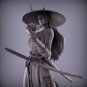 Samurai Girl Fanart STL file