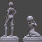 C3R2 Single Version STL file