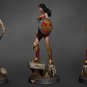 Warrior Wonder Woman From DC STL FILE 3D PRINT