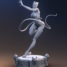 Catwoman Pose 2 from DC STL FILE 3D PRINT
