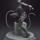 Catwoman V8 from DC STL FILE 3D PRINT