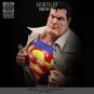 Superman Bust From DC STL FILE 3D PRINT