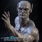 The Flash V2 From DC STL FILE 3D PRINT