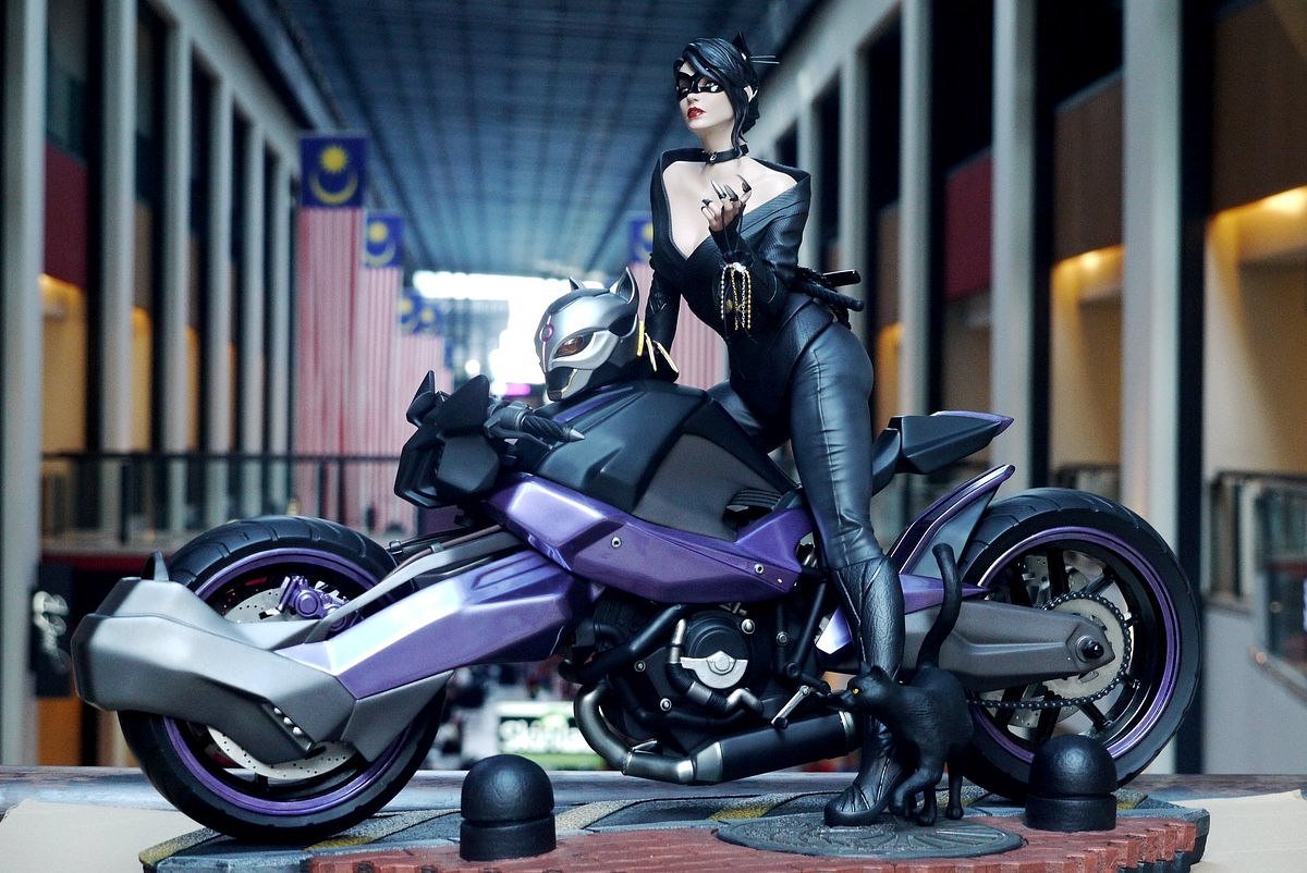 Catwoman on Motor from DC STL FILE 3D PRINT
