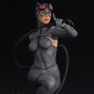 Catwoman with Rope from DC STL FILE 3D PRINT