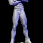 Jay Garrick Flash from DC STL FILE 3D PRINT