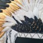 Indian Feather
