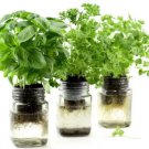 Grow Without Soil Plant Food mix, Herbs, Houseplants Nutrition indoor & outdoor