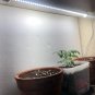 2 Modified LED Lights to Grow Light for All Plants 2FT 20W 6500K Daylight T8 2FT