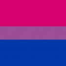 Bisexual Pride Flag