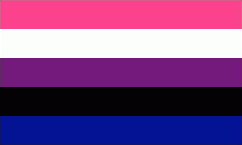 GenderFluid Pride Flag