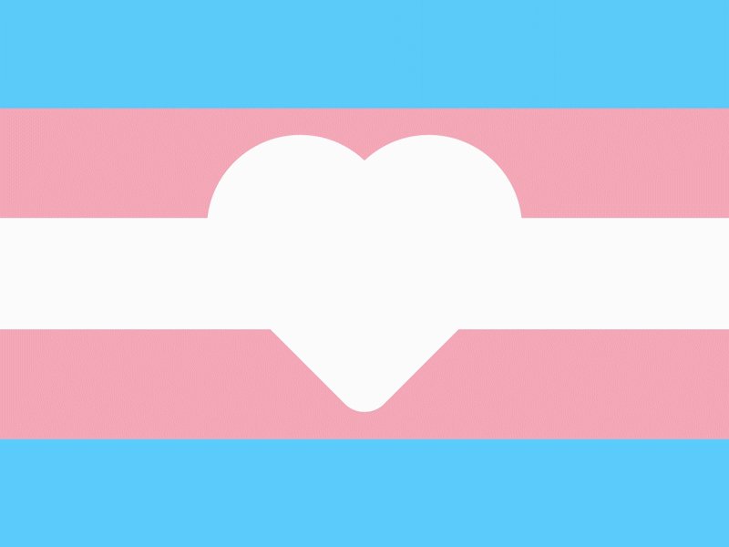 Trans Heart
