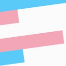 Trans Swipe