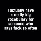 Hard Board Cat Lovers "Actually I Have A Really Big Vocabulary" Poster 8"x10"