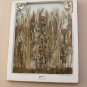 SUPERB! VICTORIAN 19TH CENTURY WINDOW FRAME ART DRIED FLOWERS DECOR SHABBY CHIC