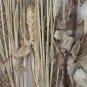 SUPERB! VICTORIAN 19TH CENTURY WINDOW FRAME ART DRIED FLOWERS DECOR SHABBY CHIC