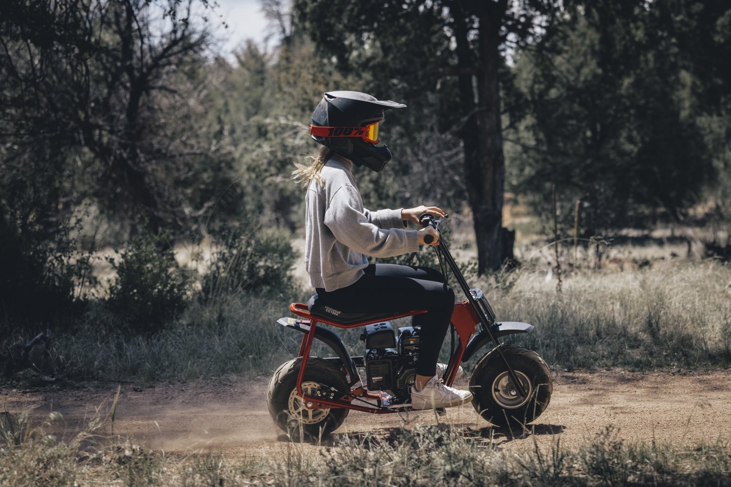 coleman powersports 100cc gas powered trail mini bike