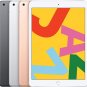 Apple 10.2-inch iPad Wi-Fi 64GB - Space Gray (9th Generation)