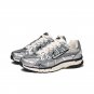 Men's Wmns P-6000 Metallic Silver CN0149-001