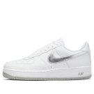 Air Force 1 Low Color of the Month - White Silver DZ6755 100