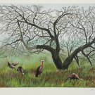 1978 Allen C Friendman Signed & Numbered Lithograph "Turkeys Under a Tree"