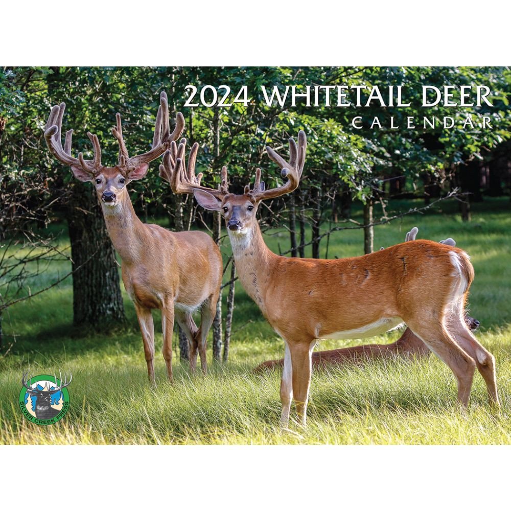 Whitetail Deer 2024 Wall Calendar   6556b69be6ea6 609076b 