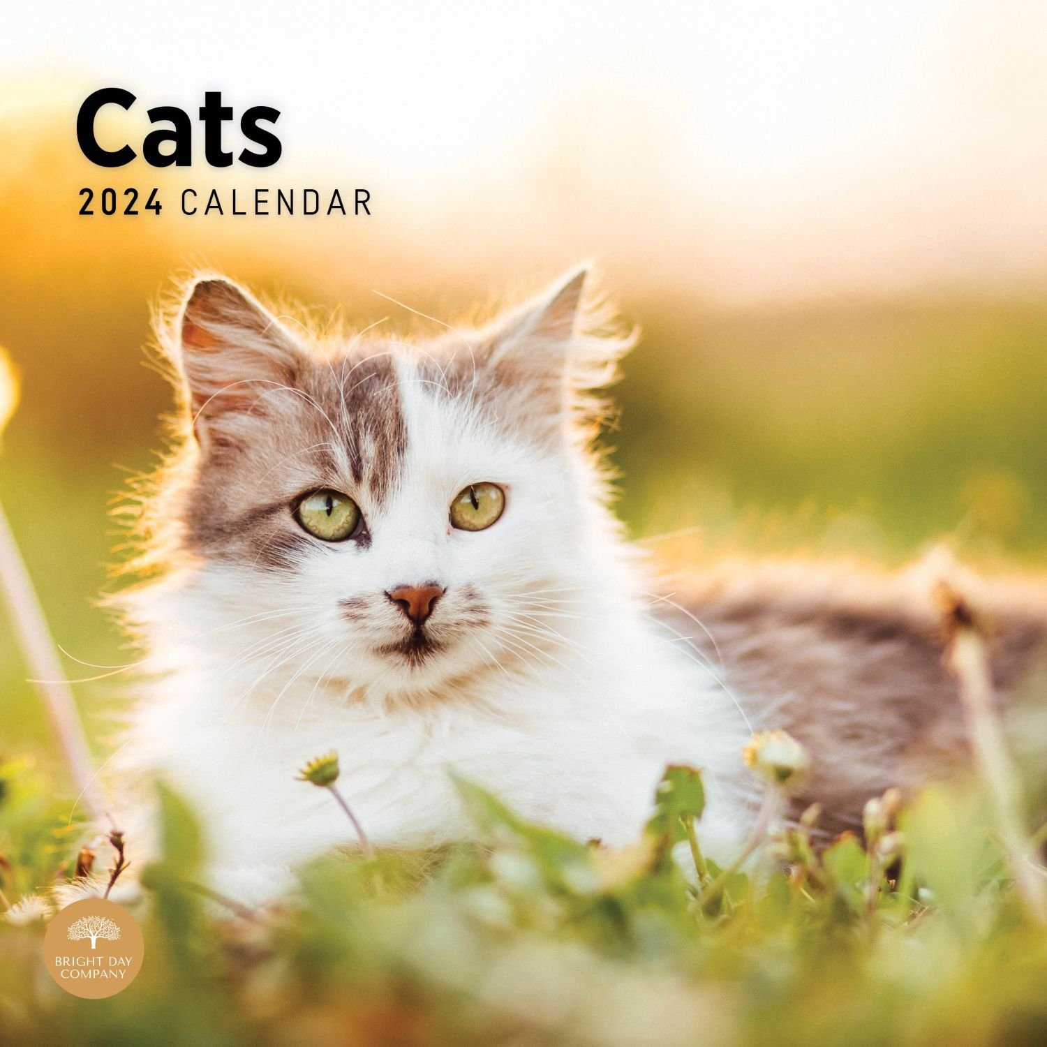 Cats 2024 Wall Calendar