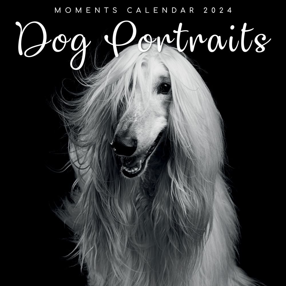 Dog Portraits 2024 Wall Calendar   6556dd2d2ad9c 609076b 