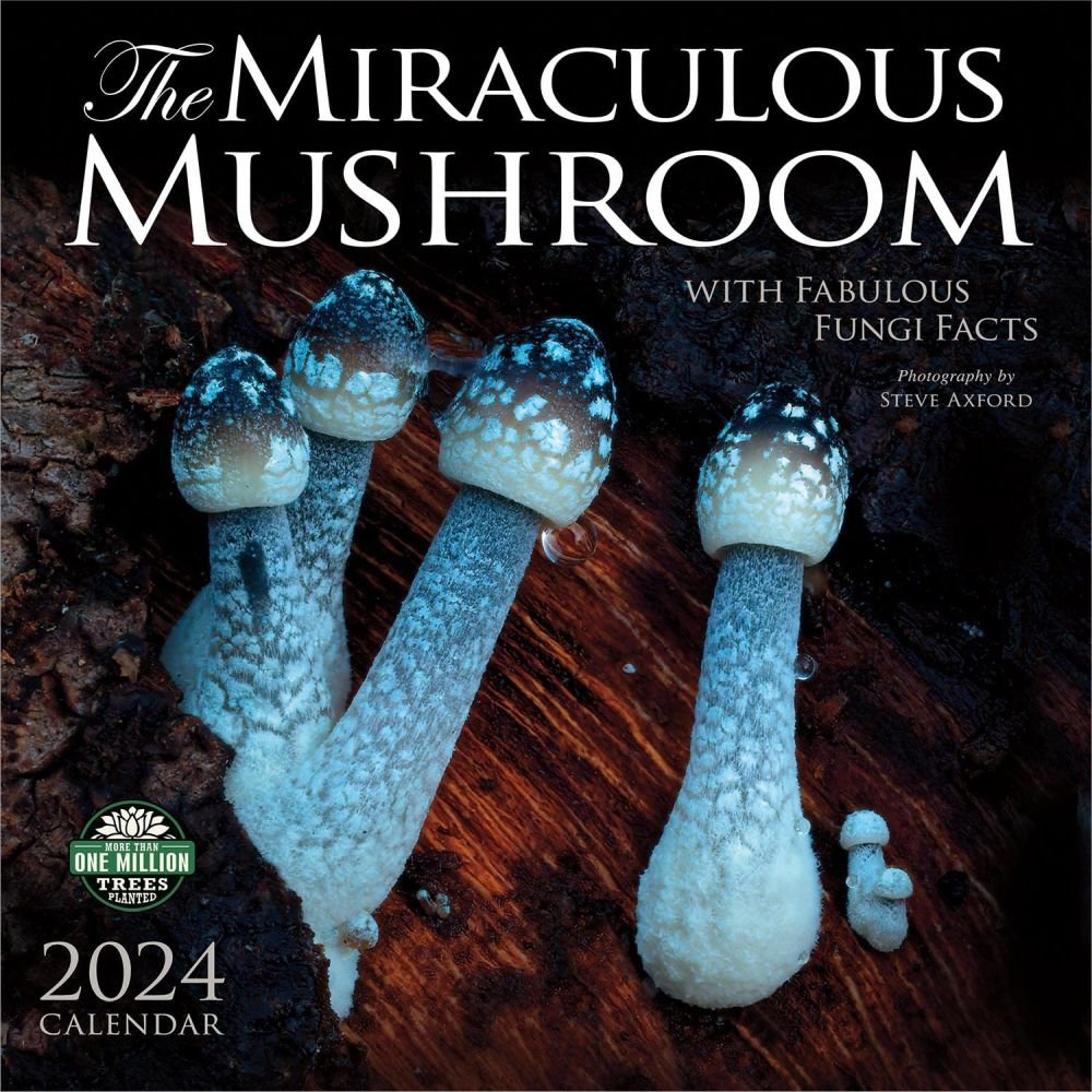 Miraculous Mushroom Wall Calendar 2024