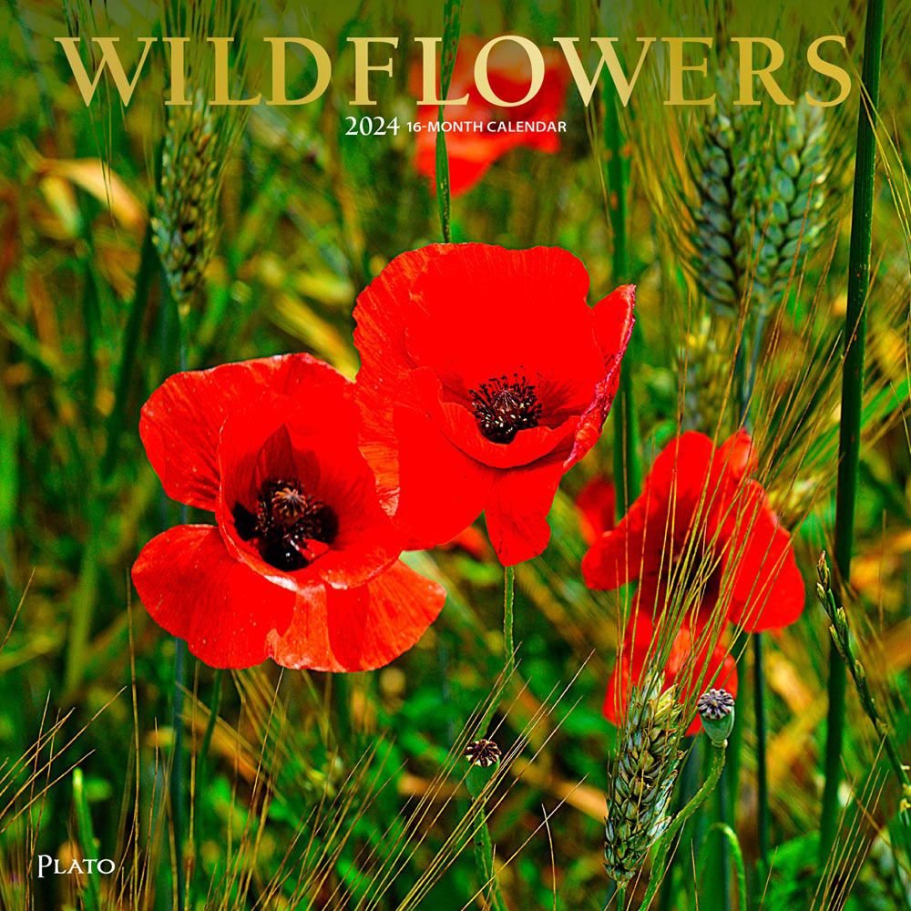 Wildflowers 2024 Wall Calendar   655740321f859 609076b 