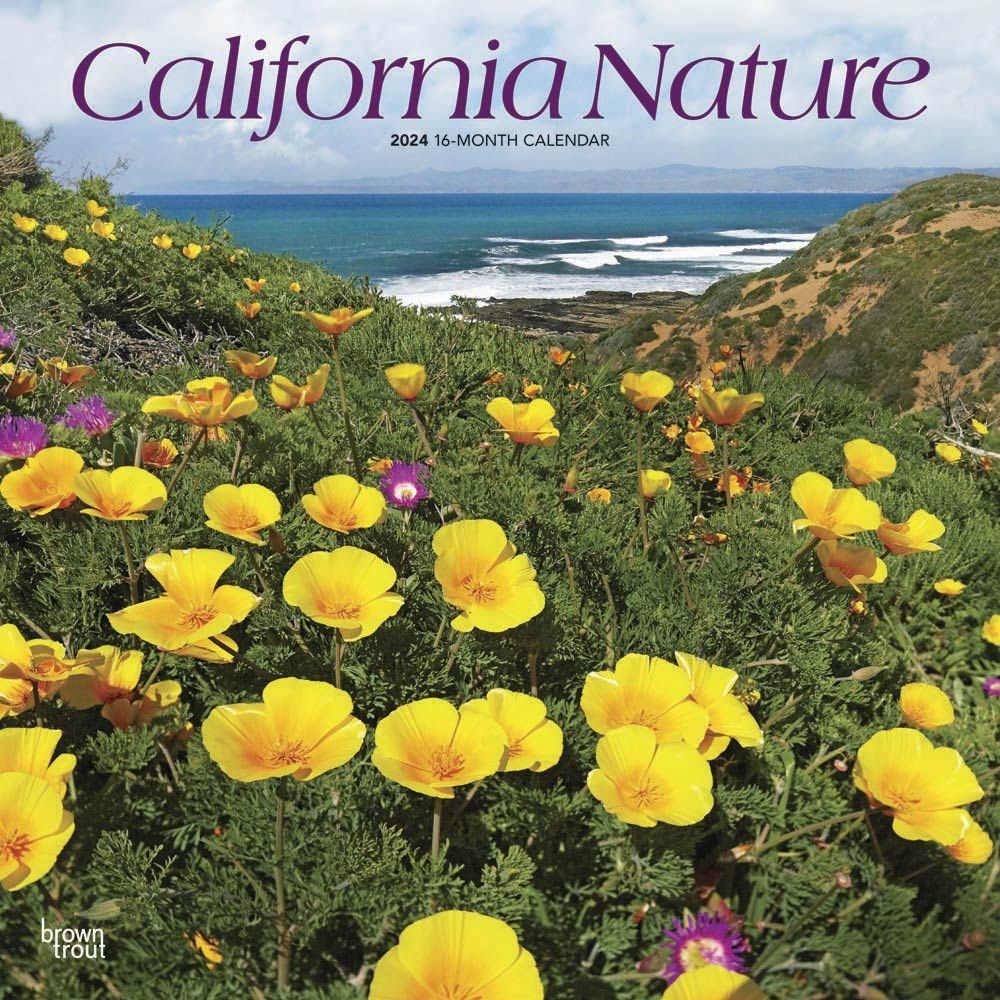 California Nature 2024 Wall Calendar   6557549378a22 609076b 