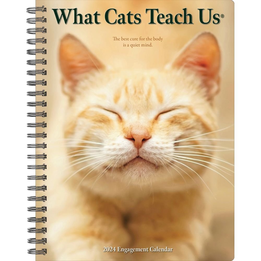 What Cats Teach Us 2024 Engagement Planner   6557699624d6e 609076b 