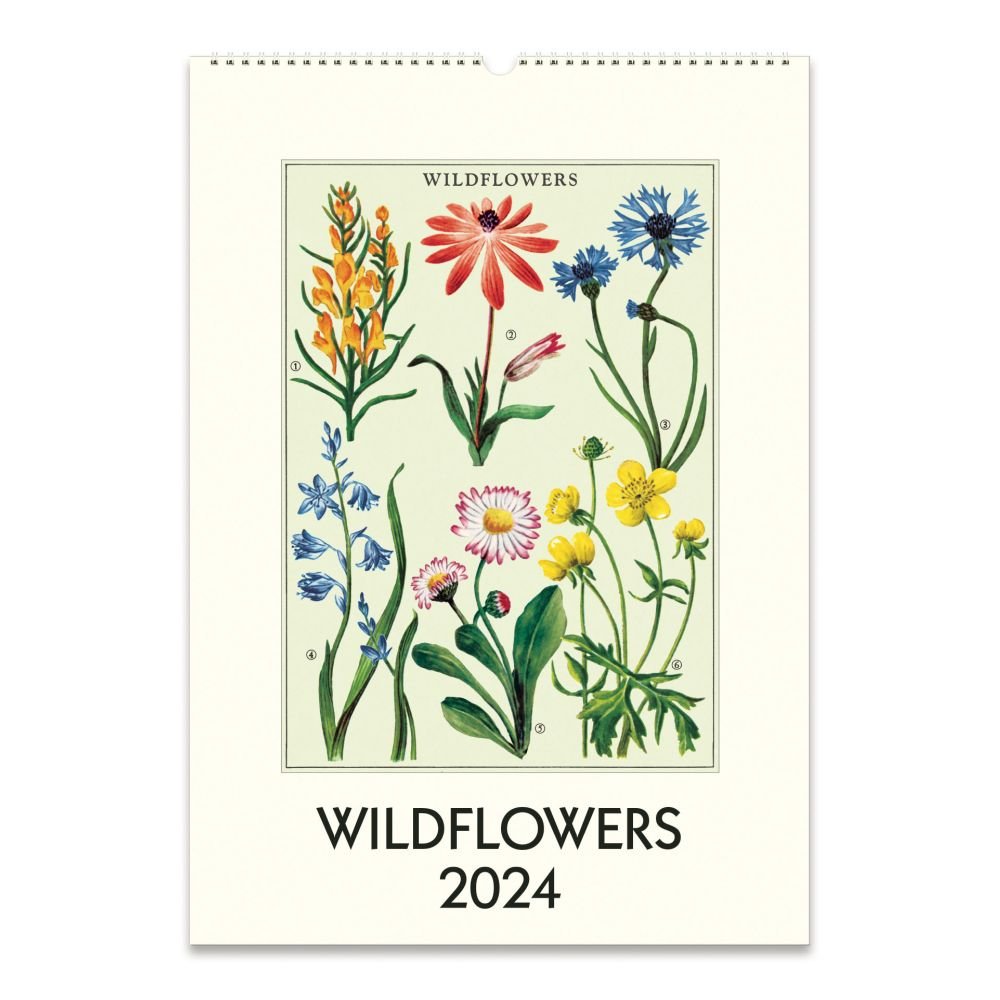 Wildflowers 2024 Poster Wall Calendar