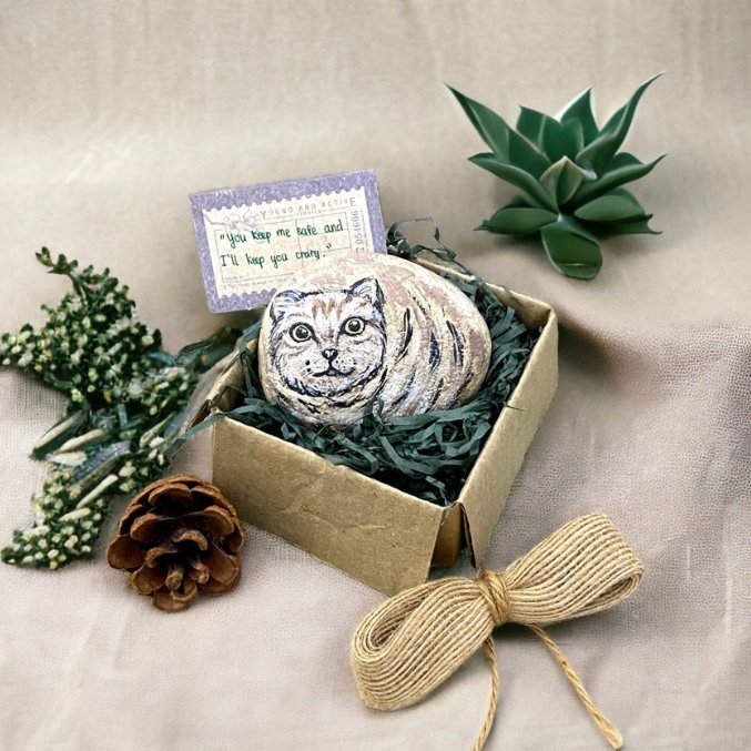 Scottish Fold Hand Painted Rock