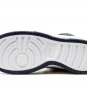 DUNK HIGH UP MNS WMNS "Michigan"