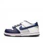 Dunk Low TD "Nets"