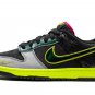 Nike Dunk Low UO PREM "What The Duck Home"