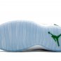 Air Jordan 10 "Wings"