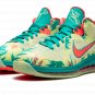LeBron 9 Low "LeBronald Palmer"