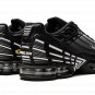 Air Max Plus III