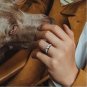 EYE OF HORUS ARMOR FULL OF DIAMONDS SIMPLE SEAL SET ZIRCON RING