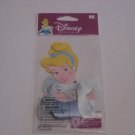 Disney *Cinderella Portrait*