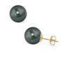 Tahitian Black Pearl Earrings