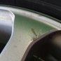 JDM Mt. Bali AVS Model7 Tire width 215 mm aspect ratio 55% rim diamet No Tires