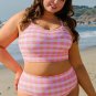 Pink Plus Size Plaid Print High Waist Bikini Set