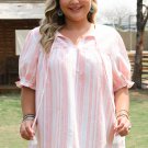 Pink Stripe Plus Size Tassel Tie Frilled Detail Short Sleeve Blouse