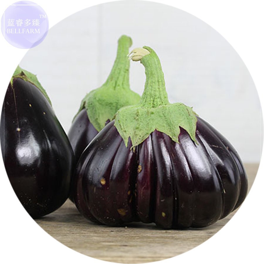 100 Fresh Seeds Rarest Emperor Black Pear Eggplant Vegetable
