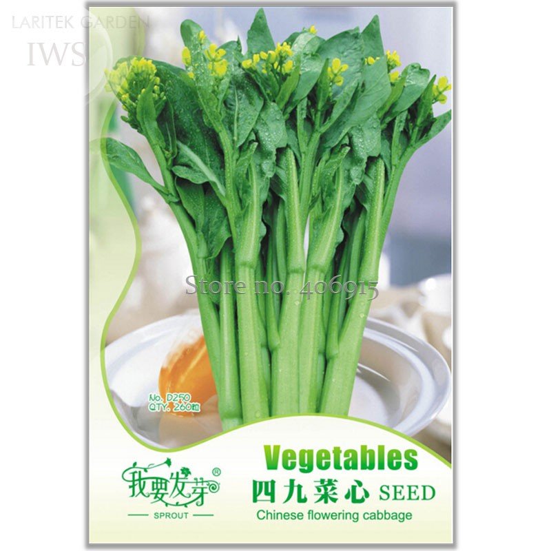 260 Fresh Seeds Sweet And Tender Choy Sum Organic Cabbage
