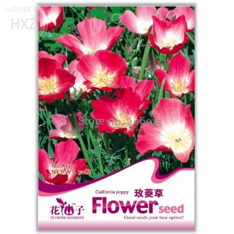 California Poppy Flowers 50 Cold Resistant Perennial Flower Fresh Seeds